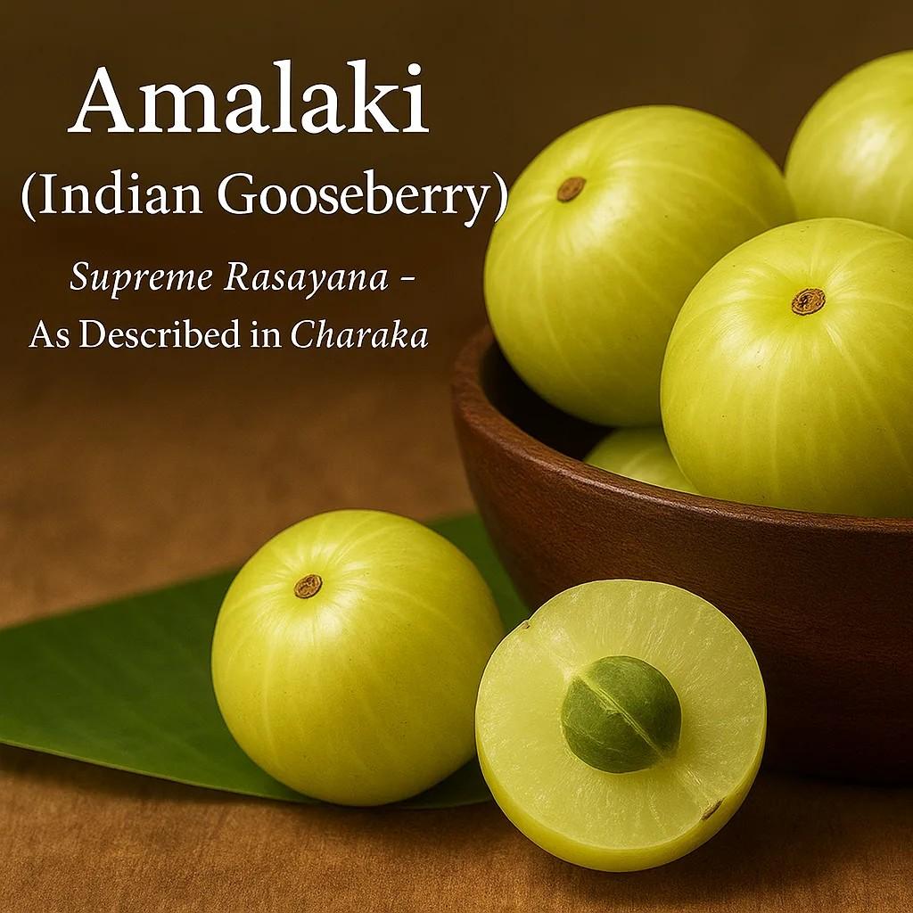 Indian Gooseberry (Amla) – آملہ