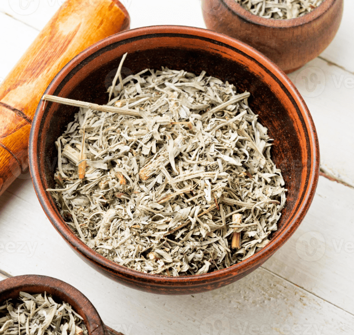 Absinthe Herb (Artemisia absinthium)