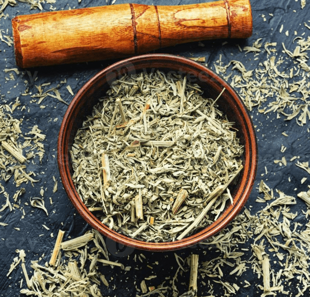 Absinthe Herb (Artemisia absinthium)