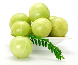 Indian Gooseberry (Amla) – آملہ