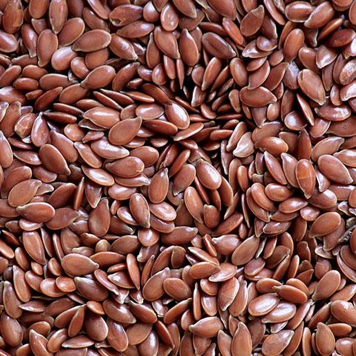 Flax Seeds (Alsi)