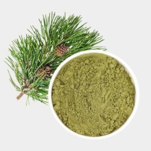 Barg-e-Snobr (Pine Needles)