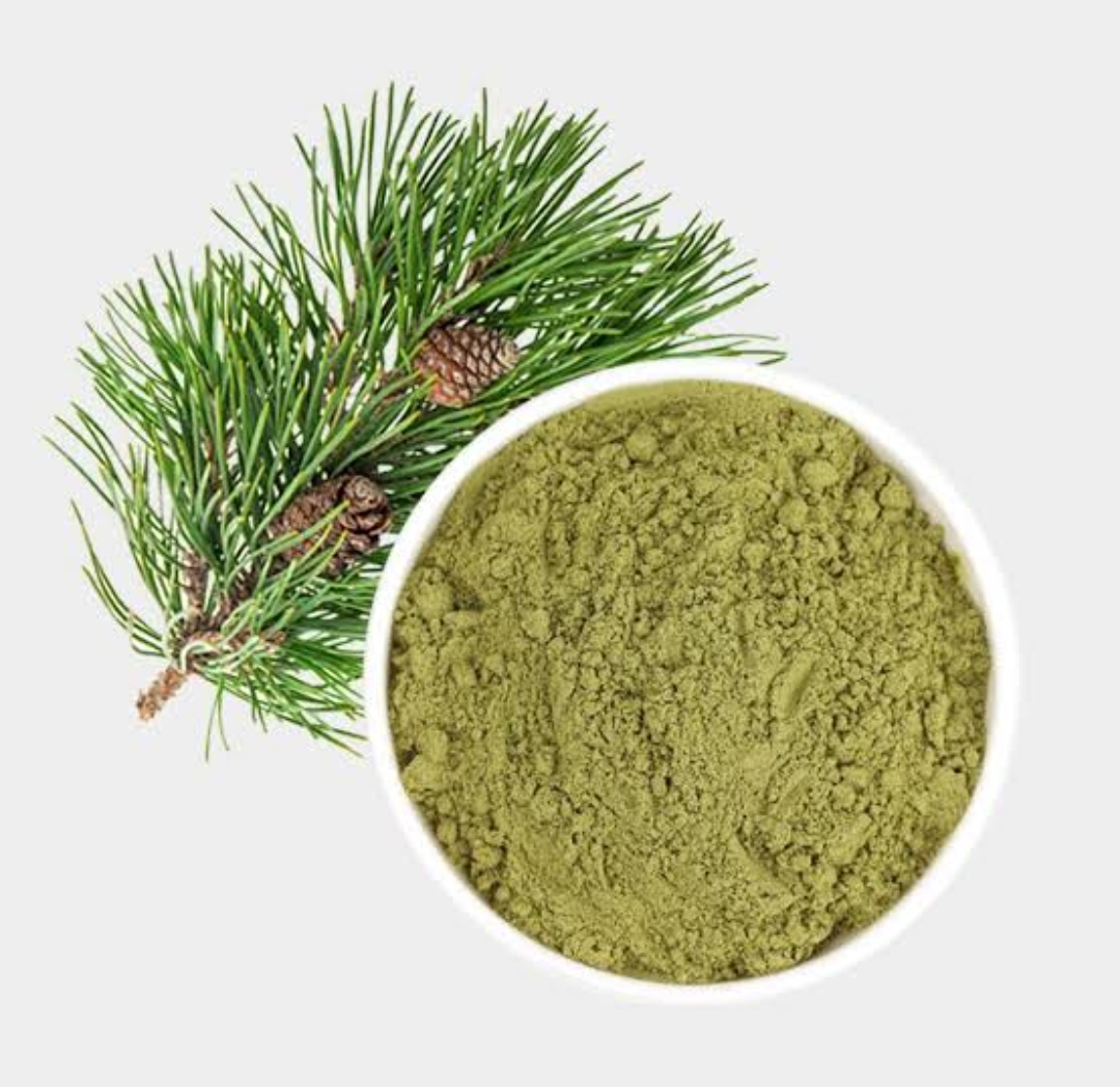 Barg-e-Snobr (Pine Needles)