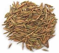 Andarjo Talkh (Bitter Aloes)